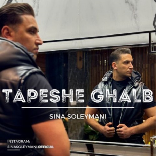 دانلود آهنگ تپش قلب